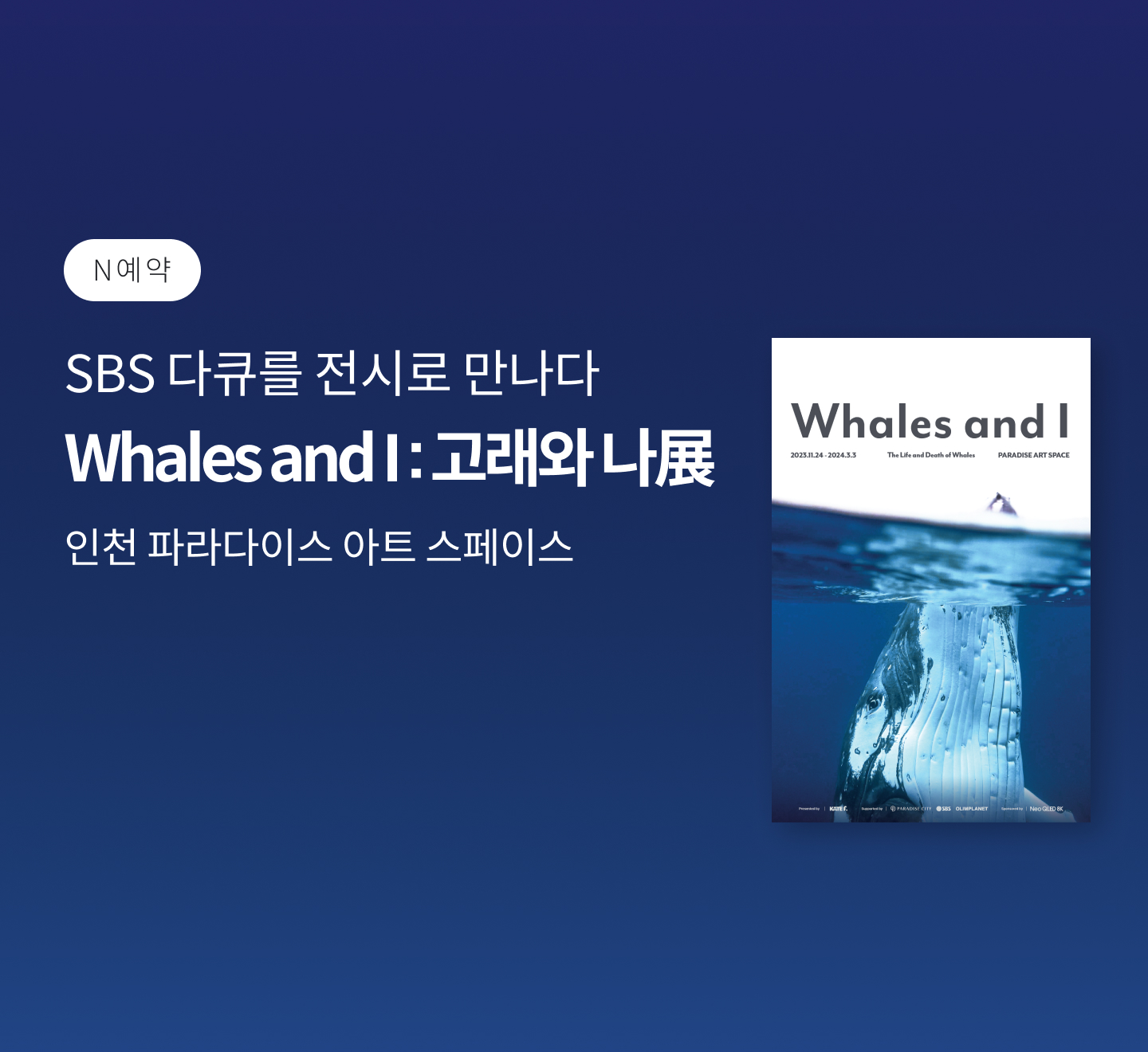 메인 배너 이미지